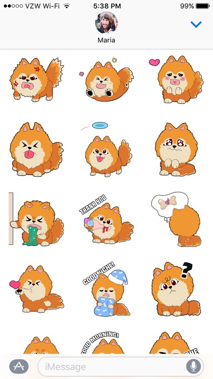 Kelso the Pomeranian - Dog Stickers