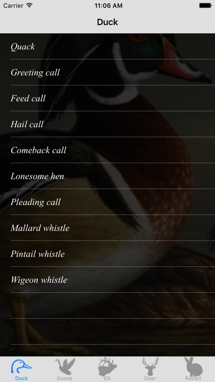 Hunting Calls: All in One