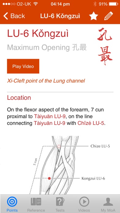 A Manual of Acupuncture screenshot1