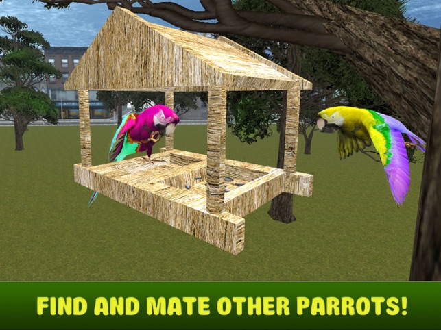 Parrot Parrot