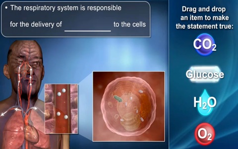 Medrills: Pathophysiology screenshot 2