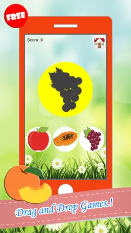 Game screenshot Fruits Drag And Drop Shadow Match Games For Kids hack