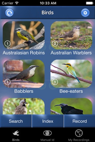 Bird Song Id Australia - Automatic Recognitionのおすすめ画像1