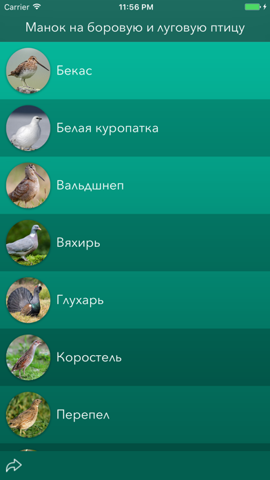 Охотничий манок на боровую и луговую птицу Screenshot