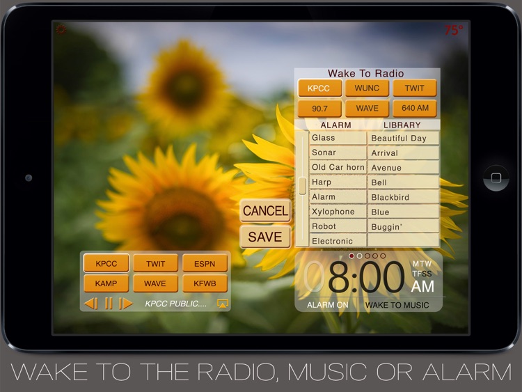 Beautiful Clock Radio lPad