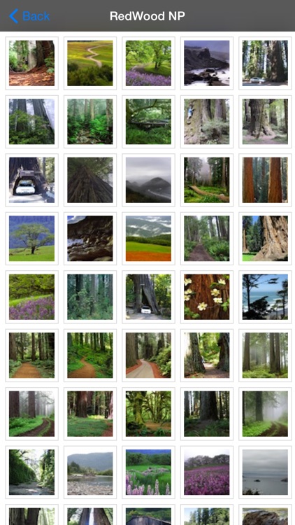 Redwood National Park screenshot-4