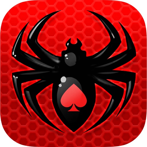 Spider Solitaire ¤ icon