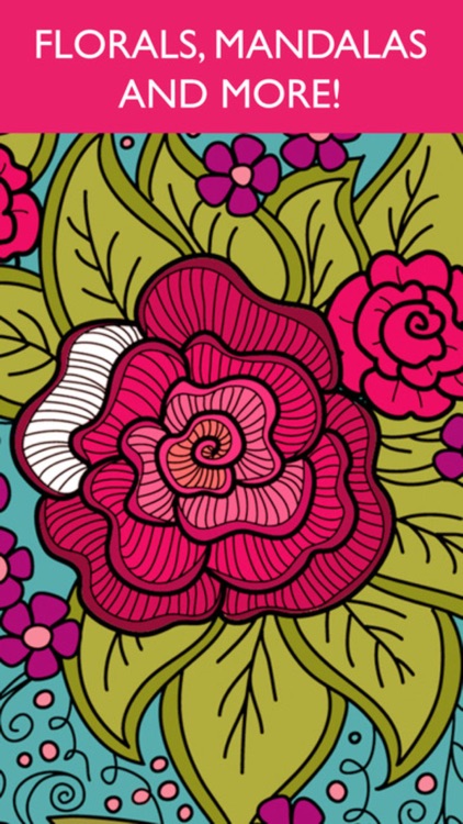 Coloring Book - for Adults and Girls Paint Sketch screenshot-4