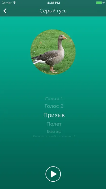 Screenshot 3 di 5 di Охотничий манок на гуся