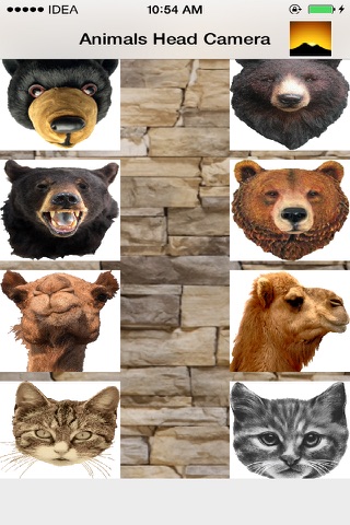 Animals Head Camera screenshot 2