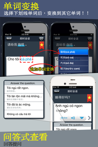 Vietnamese Conversation screenshot 4