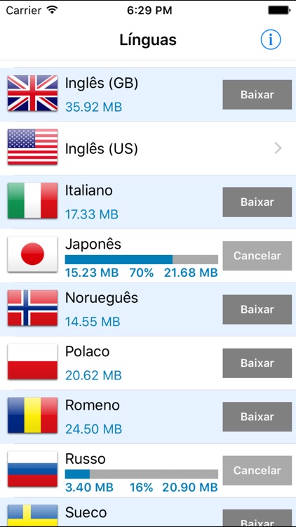 Professor de línguas