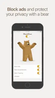 blockbear! problems & solutions and troubleshooting guide - 3