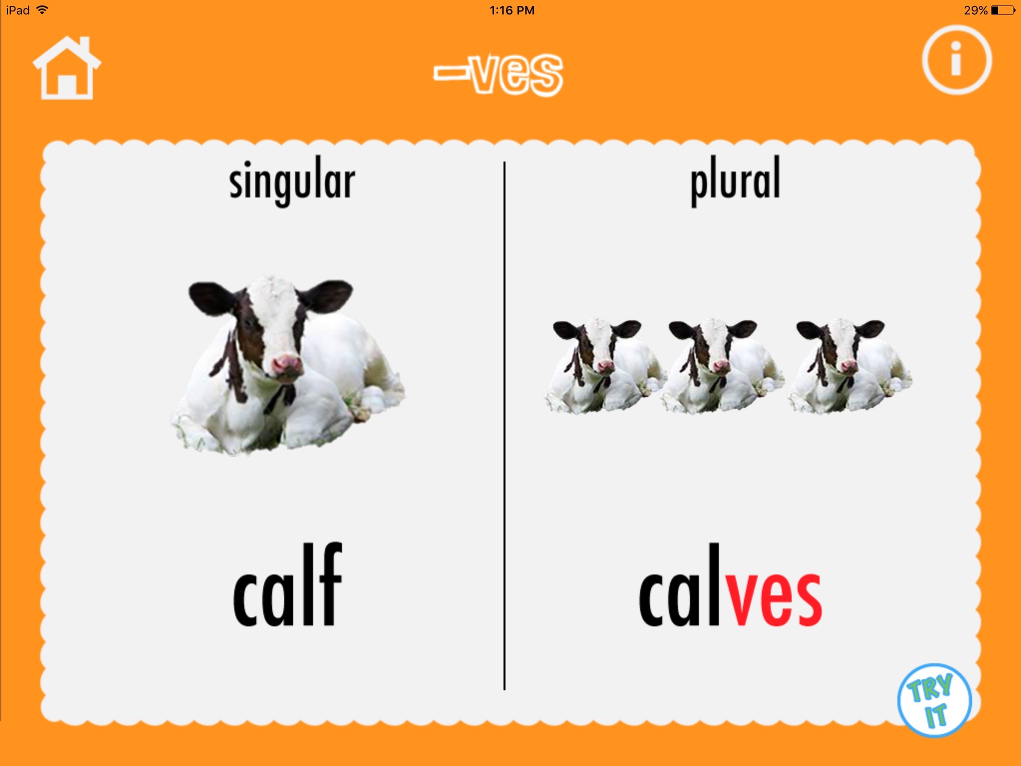 Build Plurals screenshot 4