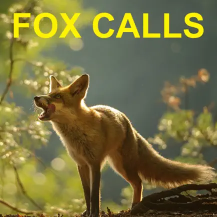 Predator Calls for Fox Hunting & Predator Hunting Cheats