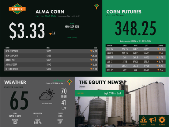 The Effingham Equity