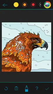 bbc earth colouring айфон картинки 2