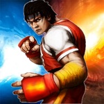 Fighter Wing - Mixed Street