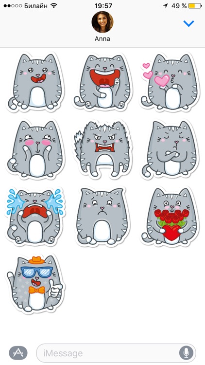 Stickers "Kitty"