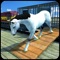 Horse Transport Train Simulator 3D – A locomotive Transporter Simulation