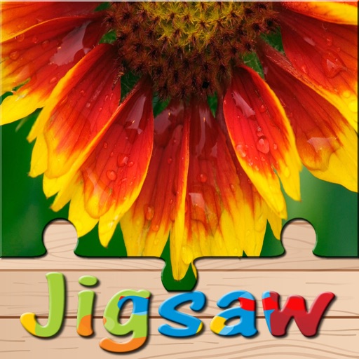 Flower Jigsaw Puzzle HD Amazing Quest Game Adult