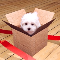 脱出ゲーム in the Box