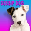 Gossip Dog