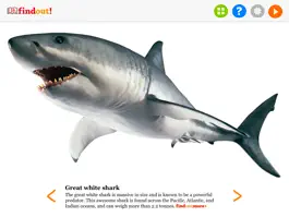 Game screenshot DKfindout! apk