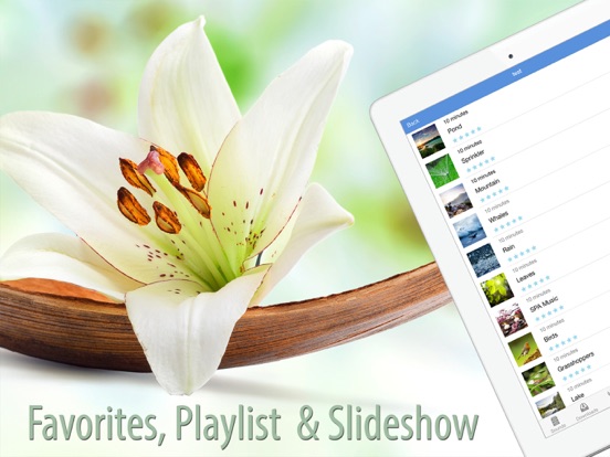 Screenshot #4 for Relaxing Nature Sounds of Forest Stream, Smoothing Rain, Ocean Waves, Meadow Ambience, Calm Beach & Chirping Birds