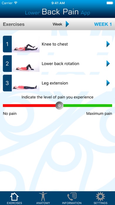 Lower Back Pain App Screenshot 2