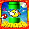 Smash Birds 2: Best of Fun for Boys Girls and Kids App Feedback