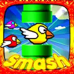 Smash Birds 2: Best of Fun for Boys Girls and Kids App Problems
