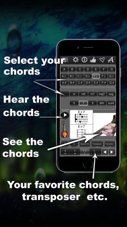 120 Mandolin Chords screenshot-0