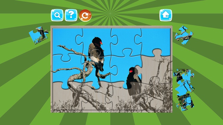 Birds Jigsaw Puzzles For Kids screenshot-4