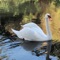 Lakes Guide is a great collection with photos and info