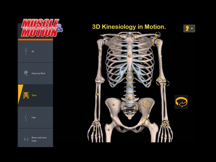 Muscle and Motion Anatomy screenshot-4
