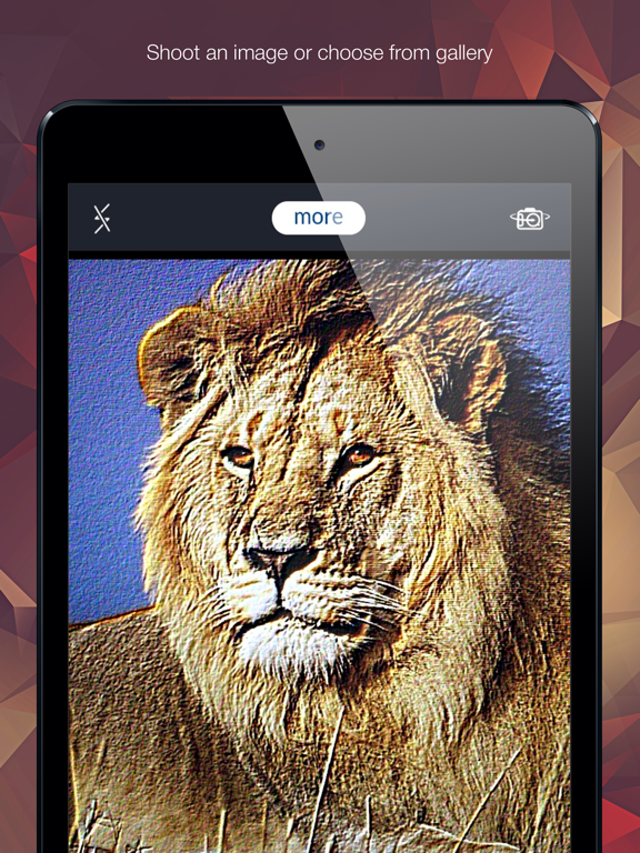 Screenshot #6 pour Emboss Photo Effects