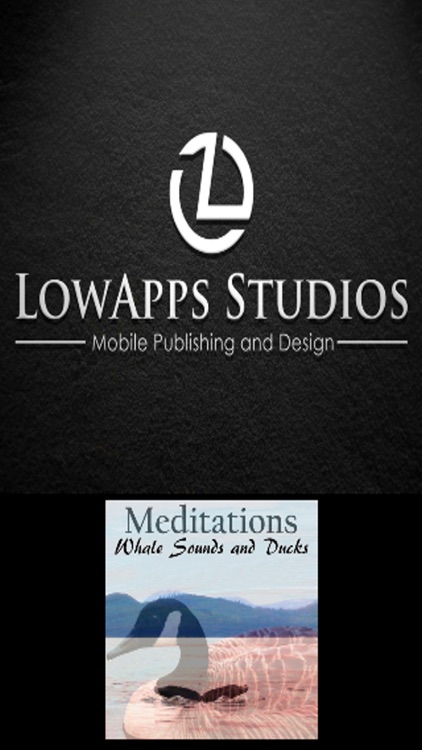 Meditations - Whale Sounds and Ducks