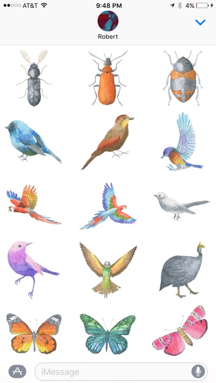Watercolor Safari