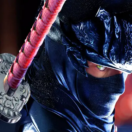 Ninja Fighter Legends. The Shadow Street Fight Cheats