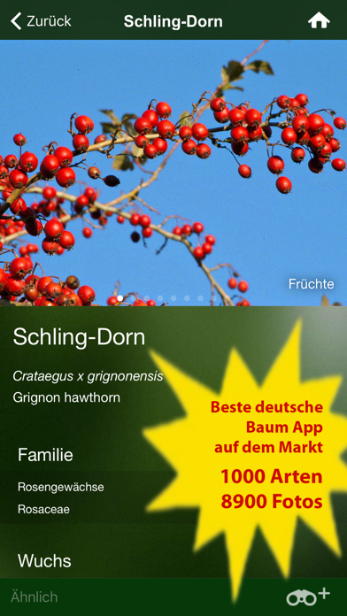 Screenshot #2 pour Alle Bäume Deutschland - 1000 Arten bestimmen