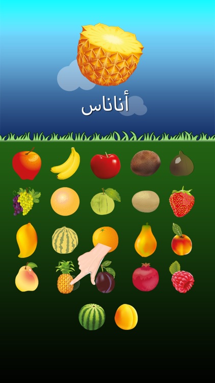 Arabic Fruits Go for Kids