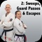 HOW TO ADJUST YOUR BJJ GAME SO THAT IT WORK AGAINST BIGGER, STRONGER OPPONENTS