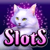 Glitzy Kitty Free Slots Casino