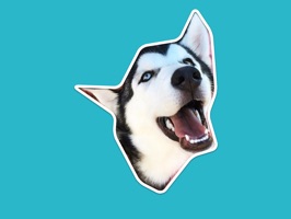 Show your love for Huskies using the Cutesy Huskies pack