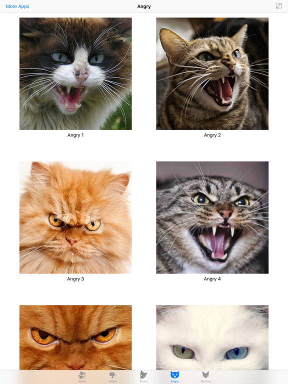 Screenshot #6 pour Cat Meow: Manière d'amusement de farce et troll