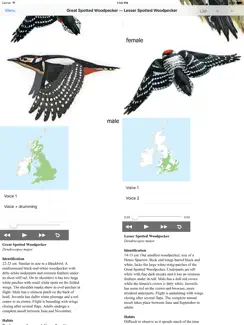EGuide to British Birds iPad image 4