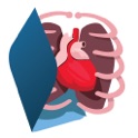 Anatomia Humana - EvoBooks icon