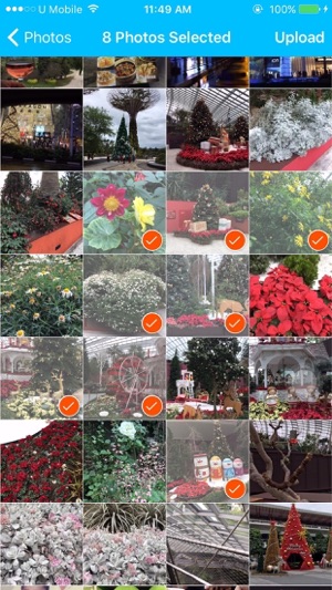 Storapp(圖4)-速報App