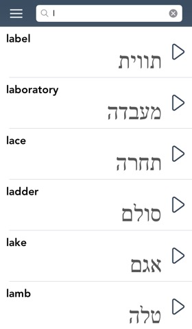 Hebrew Essentialsのおすすめ画像4